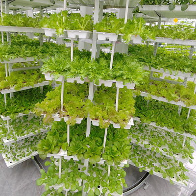Verticale landbouw Hangende planten Hydroponische intelligentie landbouw