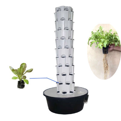 Indoor Outdoor Hydroponic Ananas Tower Grow Systems Tuin Landbouw Grondloze Cultuur Verticale Hydroponic Grow Tower