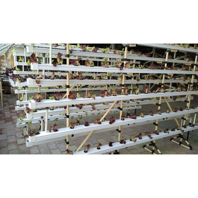 Het beste tuinverticale hydroponicsysteem voor groenten en bloemen