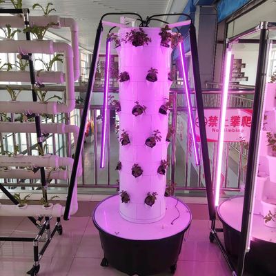 Nieuw verticaal hydroponisch teeltsysteem voor groenten en aardbeien met LED