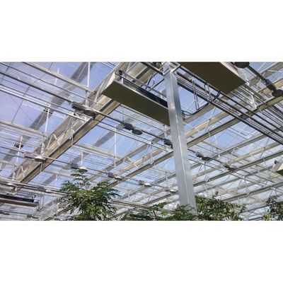 Hoog efficiënte landbouwkasten Productie kasten met plastic folie