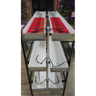 Groeiende spruiten Hydroponics Voeder systeem 4000*1600*2400mm Voor boerderijen