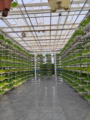 Verticale landbouw Hangende planten Hydroponische intelligentie landbouw