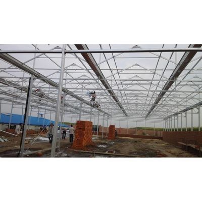 Groentehuis/tomatenhuis met hoge sterkte voor landbouw