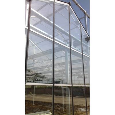 Groentehuis/tomatenhuis met hoge sterkte voor landbouw