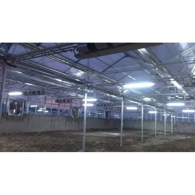 Groentehuis/tomatenhuis met hoge sterkte voor landbouw