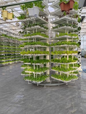 Verticale landbouw Hangende planten Hydroponische intelligentie landbouw