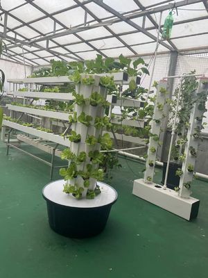 7P7 Hydroponische groeitorens Verticaal tuinhydroponisch systeem