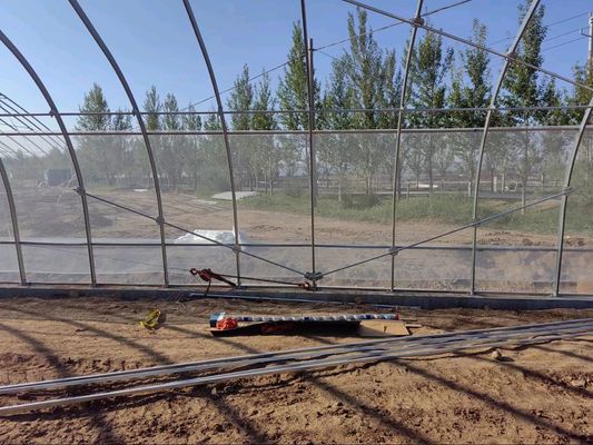 Solar Greenhouse Plastic Greenhouse voor de teelt van groenten gegalvaniseerd staal