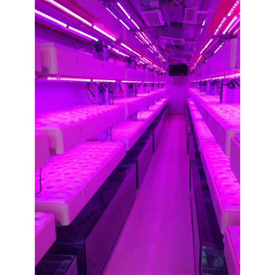 Smart Grow Hydroponic Vertical Farming System Vervoer Container Boerderij Kas