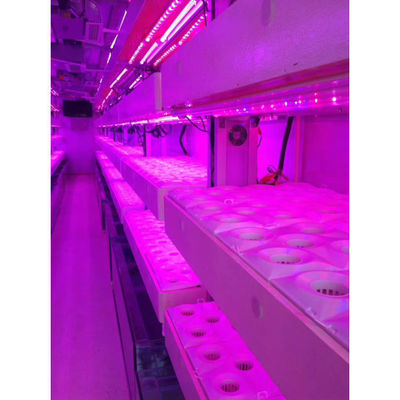 Smart Grow Hydroponic Vertical Farming System Vervoer Container Boerderij Kas