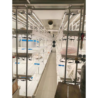 Smart Grow Hydroponic Vertical Farming System Vervoer Container Boerderij Kas