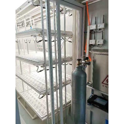 Smart Grow Hydroponic Vertical Farming System Vervoer Container Boerderij Kas