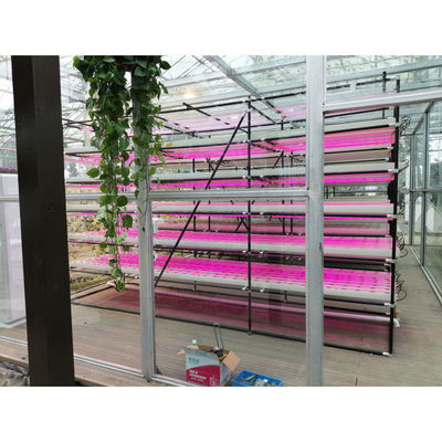Groenhuislandbouw Iot Verticale fabriek voor moderne landbouw
