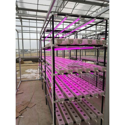 Groenhuislandbouw Iot Verticale fabriek voor moderne landbouw