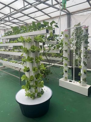 Hydroponisch kweekstelsel Toren voor groenten Aardbeien Balkon Grondloze teelt