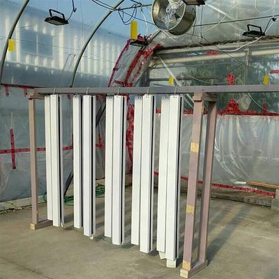 Gezinsspiraalplant Groei Hydroponische toren Groenteverbouwing in huis Hydroponisch
