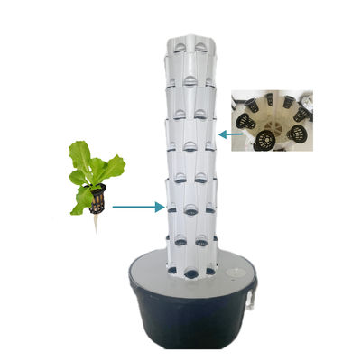 Balkon Aeroponic Growing Towers Hydroponics Verticale Tuin Systemen Hydroponic Systems Indoor Ananas Planting Type Verticaal