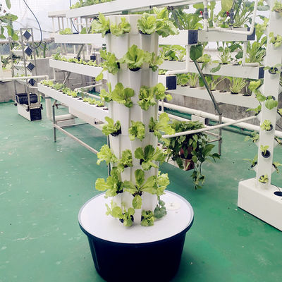Indoor Outdoor Hydroponic Ananas Tower Grow Systems Tuin Landbouw Grondloze Cultuur Verticale Hydroponic Grow Tower