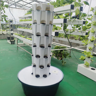 Indoor Outdoor Hydroponic Ananas Tower Grow Systems Tuin Landbouw Grondloze Cultuur Verticale Hydroponic Grow Tower