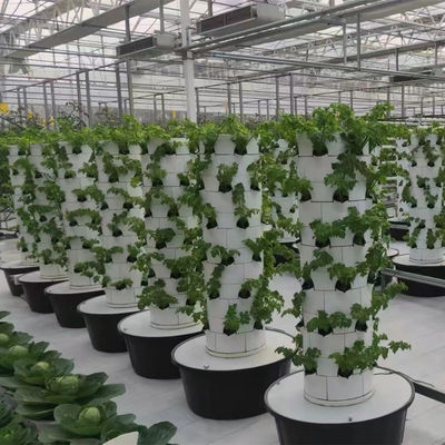Hydroponisch kweekstelsel Tuinboerderij Kas Verticale toren planten