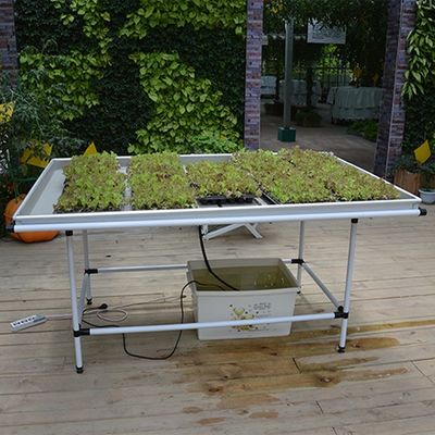 Op maat gemaakte tafels Groei tafel Kas Groei tafels Ebb And Flow Tray