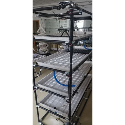 Op maat gemaakte tafels Groei tafel Kas Groei tafels Ebb And Flow Tray