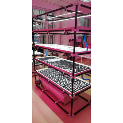 Op maat gemaakte tafels Groei tafel Kas Groei tafels Ebb And Flow Tray
