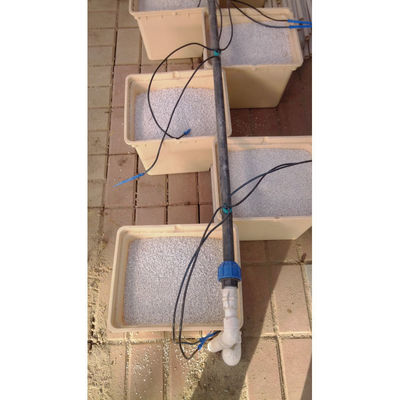 Plastic Hydroponics Nederlandse emmers Bato Emmer groeisystemen Landbouw