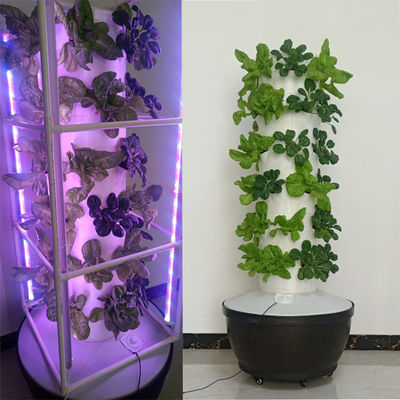 Hydroponics systeem groente Verticale groei toren aardbei Verticale tuintoren potten