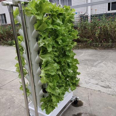 Grondloze verbouwing of substraat verbouwing Planttoren voor tuinieren