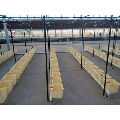 Duurzaam beige Dutch Bucket Hydroponics System Landbouw