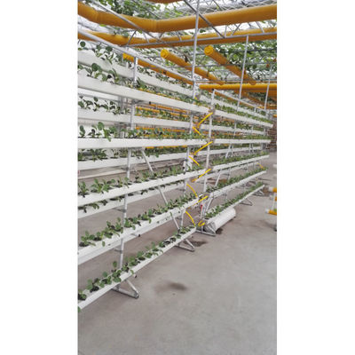 Het beste tuinverticale hydroponicsysteem voor groenten en bloemen