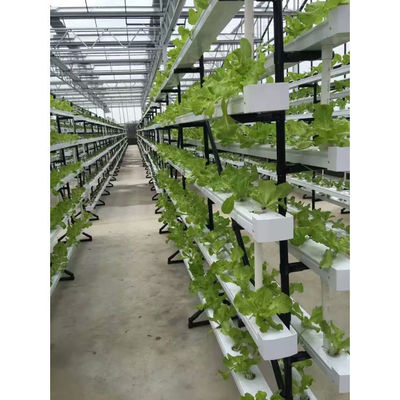 Het beste tuinverticale hydroponicsysteem voor groenten en bloemen