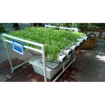 Het beste tuinverticale hydroponicsysteem voor groenten en bloemen