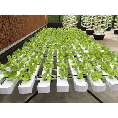 Het beste tuinverticale hydroponicsysteem voor groenten en bloemen