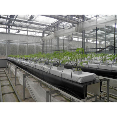 PVC-hydroponica voor levensmiddelen en Cocopeat-hydroponische teeltapparatuur