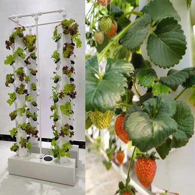 Intelligente hydroponie Verticale tuin Planten kruidplanten NFT-groei systeem