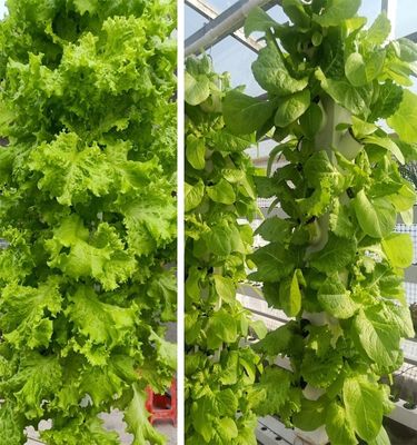 Intelligente hydroponie Verticale tuin Planten kruidplanten NFT-groei systeem