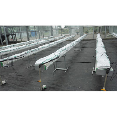 PVC-hydroponica voor levensmiddelen en Cocopeat-hydroponische teeltapparatuur