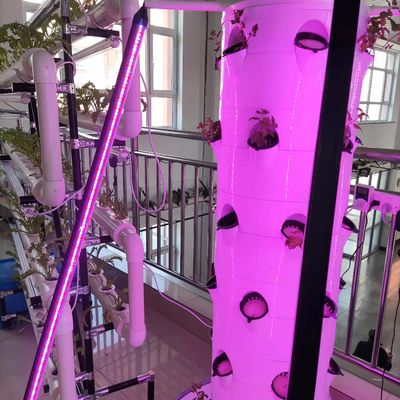 Nieuw verticaal hydroponisch teeltsysteem voor groenten en aardbeien met LED