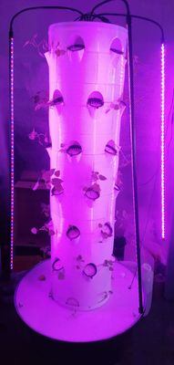 Nieuw verticaal hydroponisch teeltsysteem voor groenten en aardbeien met LED