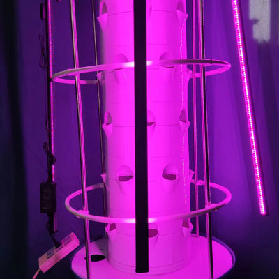 6p10 Hydroponics systeem Verticale tuin toren binnenshuis groenten Tuin toren tuin aeroponics systeem