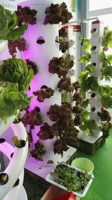 6p10 Hydroponics systeem Verticale tuin toren binnenshuis groenten Tuin toren tuin aeroponics systeem