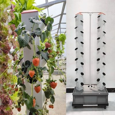 Perfecte verticale kolom Hydroponisch Aeroponisch Planten Systeem Aeroponisch Growtower
