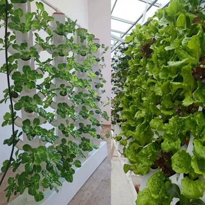 Perfecte verticale kolom Hydroponisch Aeroponisch Planten Systeem Aeroponisch Growtower