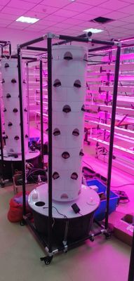 Hydroponisch systeem Aeroponisch torenGarden roterende hydroponisch voor bladgroenten