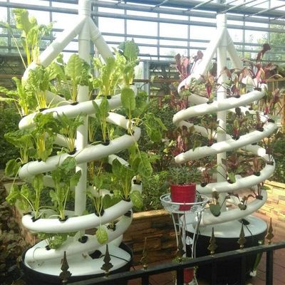 Verticaal hydroponisch systeem voor spiraalhouderij