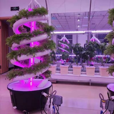 Verticale spiraalplant Groei Hydroponische toren Teelt tuin aeroponics systeem