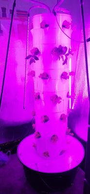 Hydroponisch systeem Aeroponische toren voor aardbeien en bladgroenten Roterende landbouw